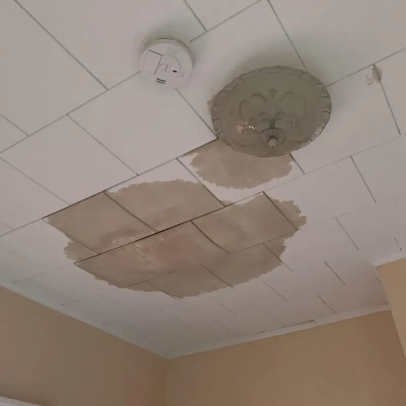 Ceiling Water Damage Repair in New Carlisle, OH