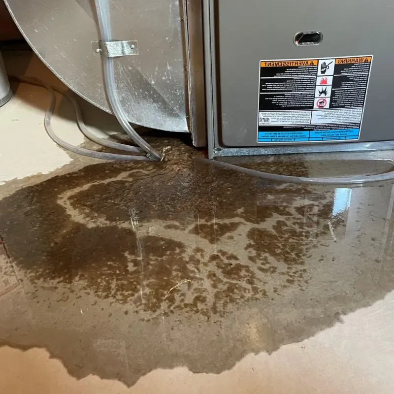 Pipe Burst and Leak Restoration in New Carlisle, OH