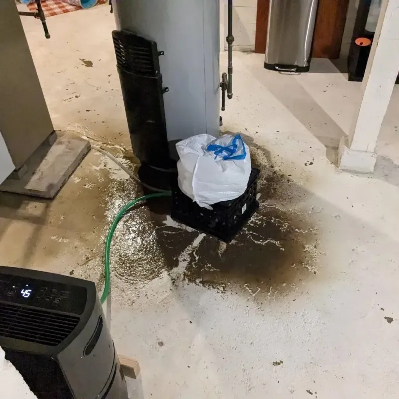 Sewage Backup Cleanup Service in New Carlisle, OH